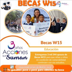 Becas W15
