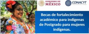 Becas de fortalecimiento academico para indigenas de Postgrado para mujeres indigenas.