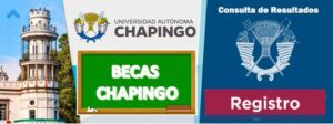 becas chapingo